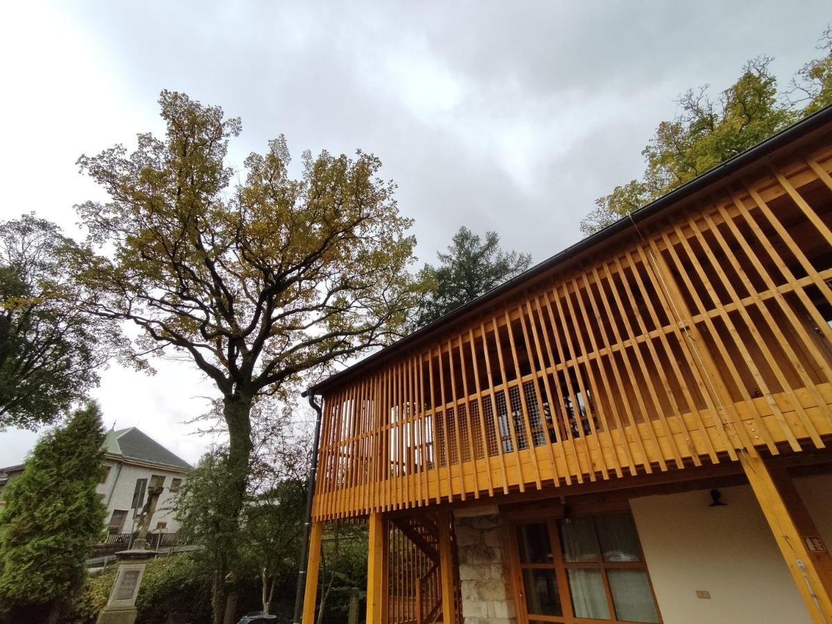 Apartment Ve Mlyne Teplice nad Metují Kültér fotó